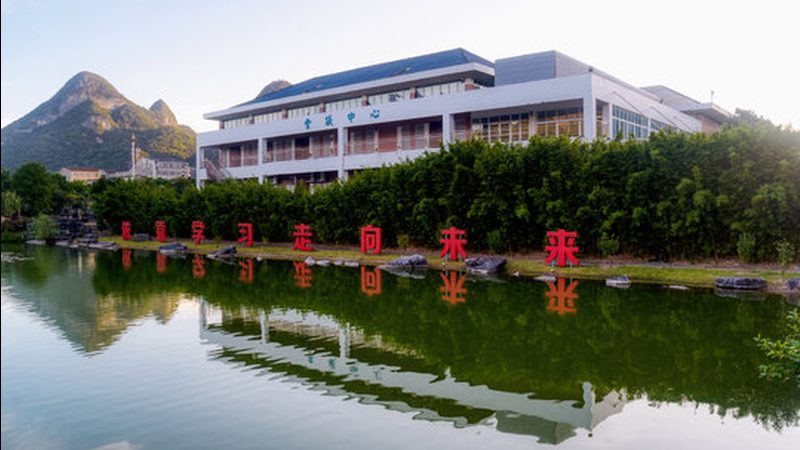 上海二极管厂家：揭秘其背后的技术奥秘与应用**