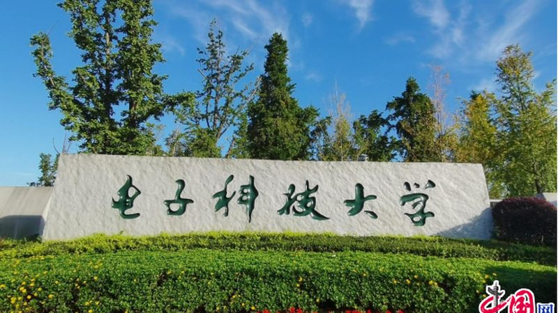 电容分类及适用场景解析
