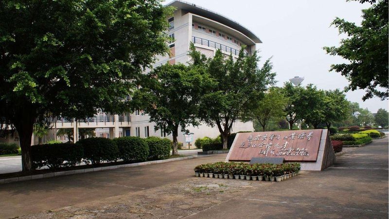 色环电阻额定功率：揭秘其标识与解读